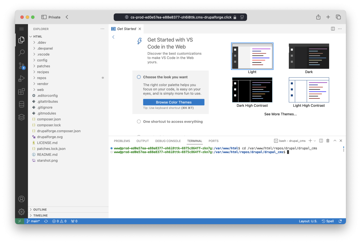 Terminal open in cloud development environment.